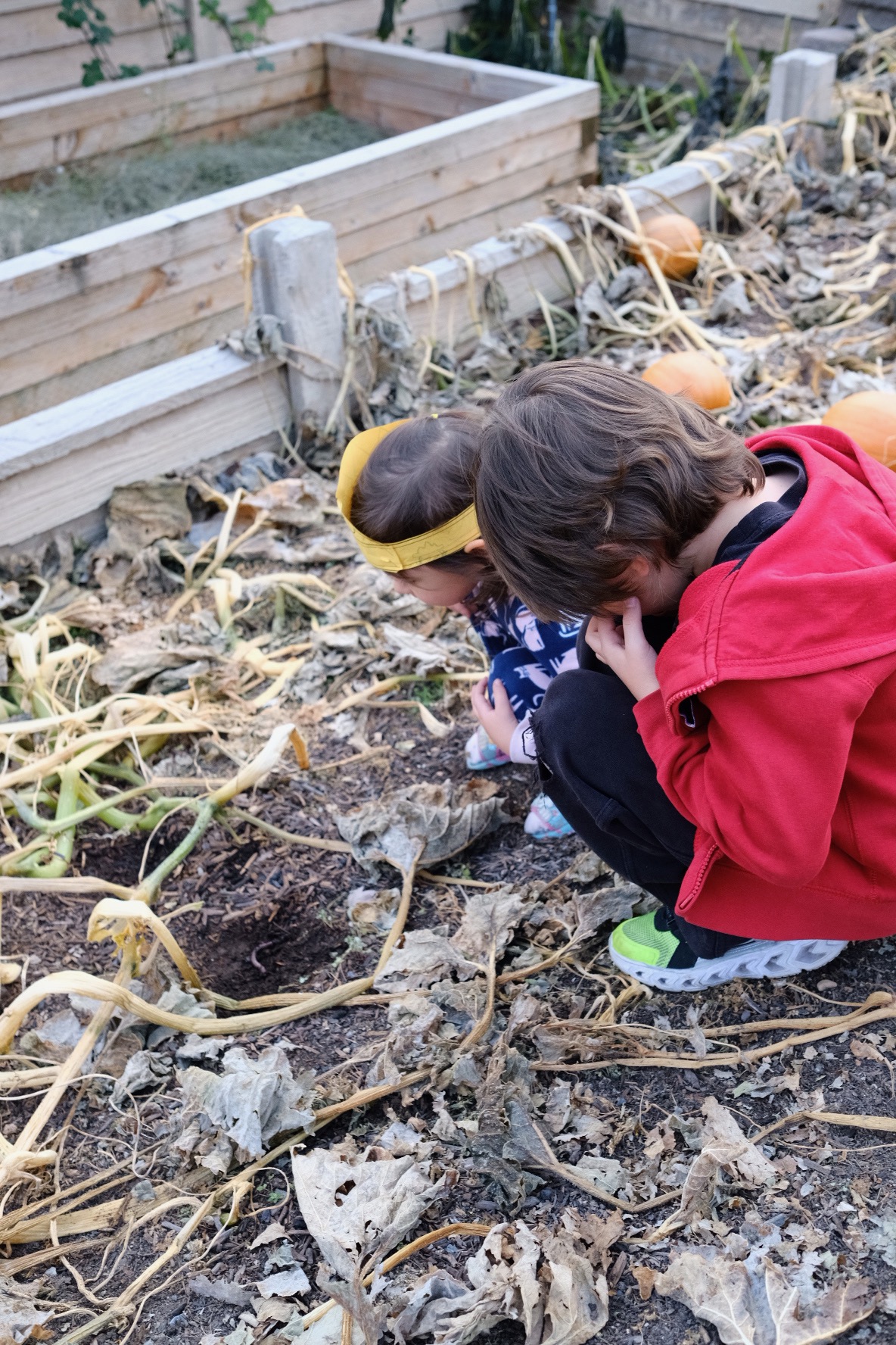 Two kids look at a worm in the dirt.