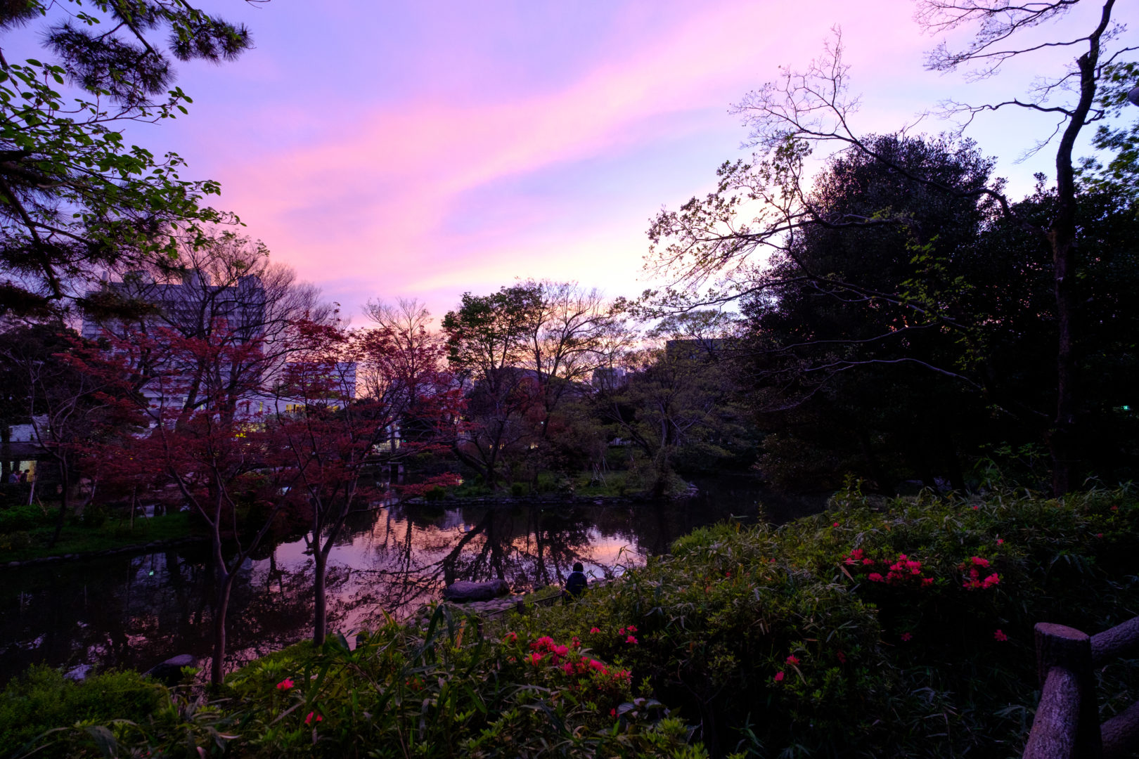 A beautiful purple sunset looking over the pond at Arasugawanomiya Memorial Park in Roppongi Hills, Tokyo